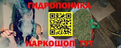ALPHA PVP Камышлов