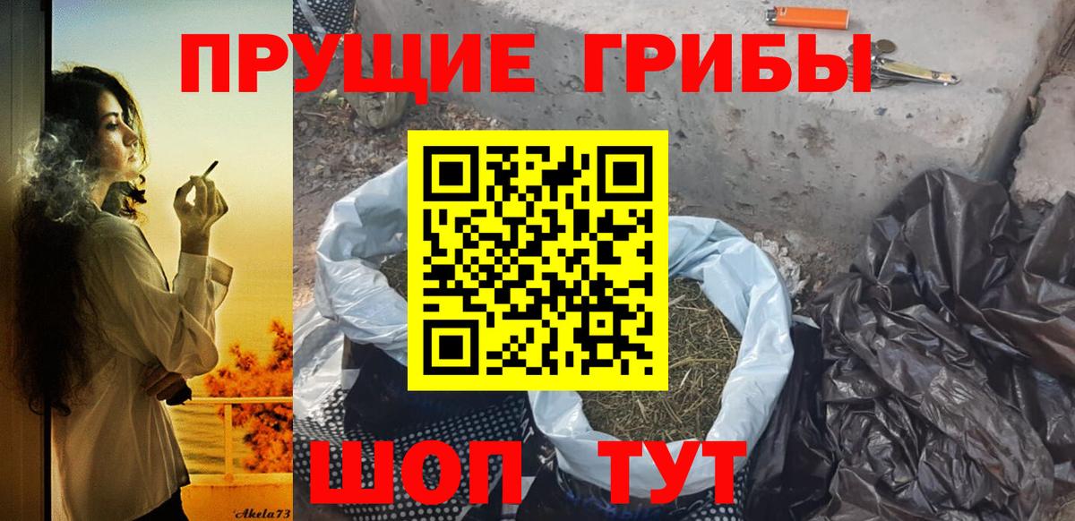 Псилоцибиновые грибы GOLDEN TEACHER Екатеринбург