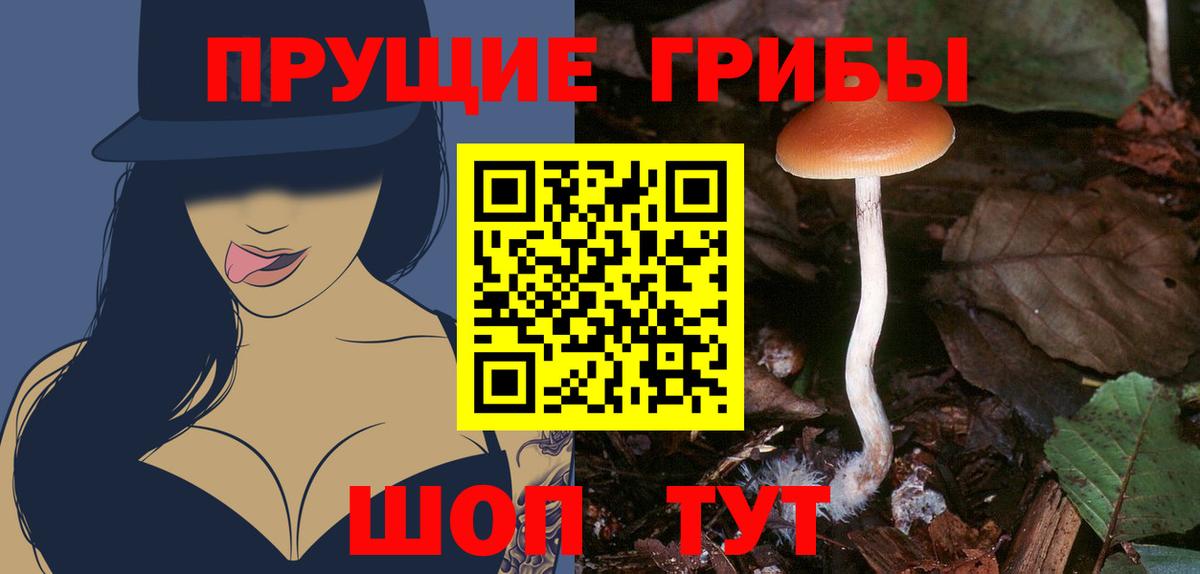 Галлюциногенные грибы мицелий  Вход с VPN  Екатеринбург 